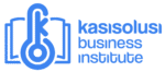 kasisolusibusinessinstitute.com